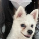 신일환동물병원 이미지