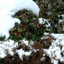 함평자연생태공원 이미지