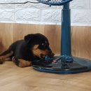 25시 죽곡동물병원 이미지