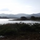 두물머리 이미지