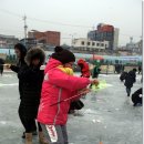 홍천 황금송어 축제 이미지