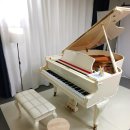 쇼팽피아노학원 | 미아동 피아노 아워뮤직학원, 성인취미피아노 쇼팽 녹턴 레슨 후기