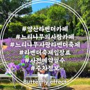 컨테이너 카페 | 양산 라벤더 카페 느티나무의사랑 라벤더축제 사전예약 필수 카페 후기