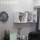 바른동물병원 이미지