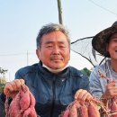 솔빛농원