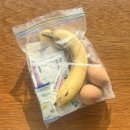 지중해의 아침 B | 쉐이크, 글루타치온/크런틴 쉐이크/파지티브호텔 지중해민트티/드시모네 프라임/하루한콩/오니스트 콜라겐