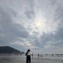 애드마루 | 2508 [영종도 2일차上] 영종도 애견동반 식당 "산들비" 을왕리 해수욕장 애견동반 오션뷰 카페 "블랑...