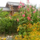 청산정원 이미지