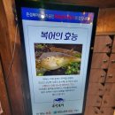 은성복어 이미지