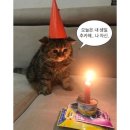 청계천카랜드 | [🎂] 여자의 생일은 일주일