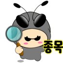 디에스피 이미지