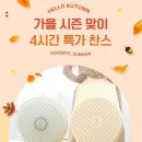 멀티핏 선풍기 커버 2개 8,900원 무배 이미지