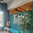 합성대로상가 | 안산 사진관 너를담다스튜디오 결혼기념일 가족사진 촬영 후기