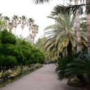 한림공원 이미지