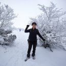 2024.01.10 한라산 어리목~윗세오름~영실 이미지