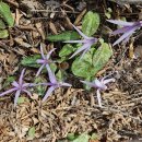 약수암샘터 이미지