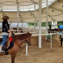 영광승마장 이미지