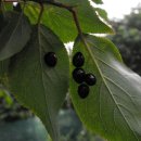 선학어린이집 이미지