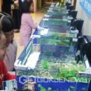 노곡초교 이미지