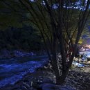 리버힐즈 캠핑장(푸른농원) 이미지