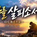 [일주일송] 나를 살피소서 ㅣ HAN 이미지