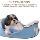 한마음 애견용품 이미지