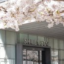 스테이힐 이미지