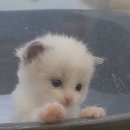 남구-037 이미지