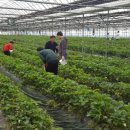 늘해랑농장 이미지