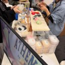 남측브릿지(좌) 화장실 | 2026 부산 궁디팡팡 캣페스타 둘째날 사진 왕창 찍은 후기 / FEAT. 텅장