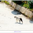 북촌민박 이미지