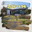 쉬다가게 | 제주 산방산 반려동물 아이랑 동반 숙소 쉬다가게 후기