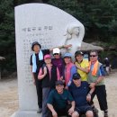 정호 - 창원시 성산구 창이대로690번길 2 | 정호