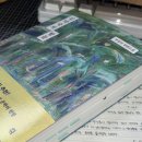 김약국 | [서평/독후감] 김약국의 딸들 솔직 리뷰 후기