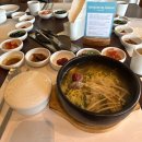 썬레코드(SUN RECORD) | 길고 길었던 강릉 여행🌊