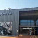 카페디노진주