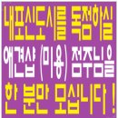 센텀 애견 미용실 네이버블로그