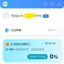 종로-신영-종로-영-240 | 32~59) 25년 2월 일상 (포즈간츠 멈멈 브라운, 스포티지 하이브리드 페이스리프트 2025 후기)
