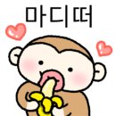 언니김밥 - 진주시 순환로 541 | 언니김밥