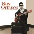 In Dreams (꿈속에서는) - Roy Orbison 이미지