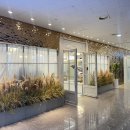 햇빛안마클리닉 | 헬리오시티 미용실 박준뷰티랩 지수실장 시세이도 클리닉 후기