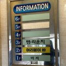 머리붙이바