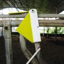 청와대목장 이미지