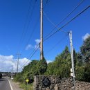 어게인원모어 이미지