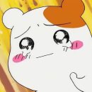 리더스 | 굿바이바이야🖐🏻 페이북 리더스 활동 후기! | BC카드 페이북리더스 8기
