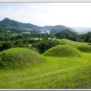 효심조경