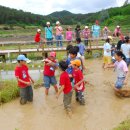 우포가시연꽃마을 이미지