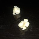 감나무집할머니 이미지