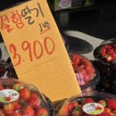 재반로186 이미지