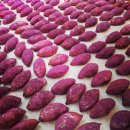 철원고구마 이미지